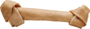 Bone PNG-46830